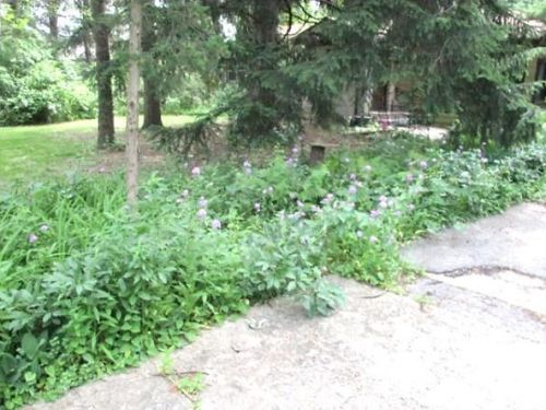 12421 Archer Ave, Lemont, IL 60439-6710