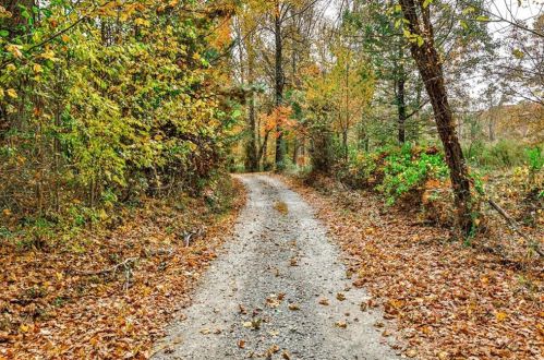 251 Ralston Rd, Ellijay, GA 30536-8007