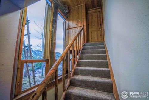 6492 County Rd 80c, Red Feather Lakes CO 80536-9201 exterior