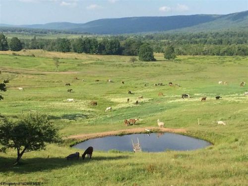 255 Freeland Rd, Canaan Valley, WV 26260-8082