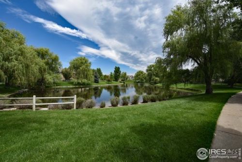 1708 Globe Ct, Fort Collins CO  80528-6393 exterior