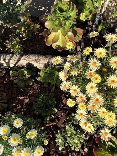 1020 Hickory St, Santa Ana CA  92701-6004 exterior