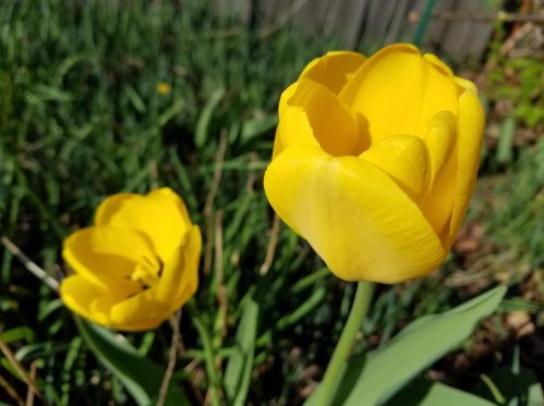 506 2nd Ave, Saint Paul MN  55112-6824 exterior