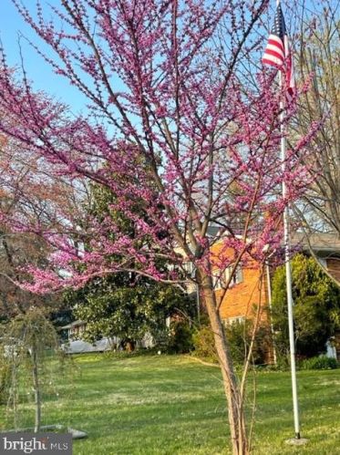 7635 Dunston St, Springfield VA  22151-2611 exterior