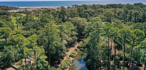1215 Flying Squirrel Ct, Johns Island, SC 29455-5653