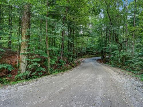 107 Piney Ln, Cleveland, GA 30528-5582