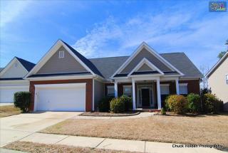 141 Fresh Spring Way, Lexington, SC 29072-7152
