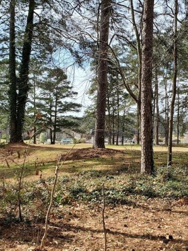 664 Sugar Creek Trl, Conyers GA  30094-3808 exterior