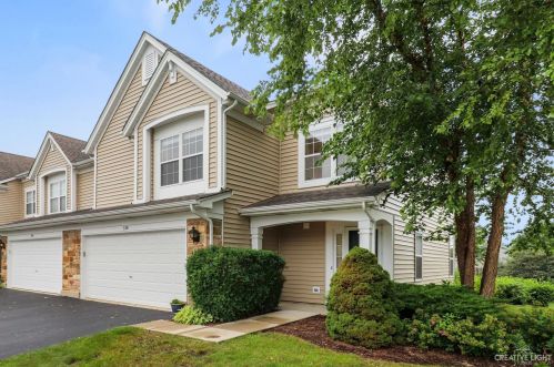 338 Valor Ct, Palatine, IL 60074-6829