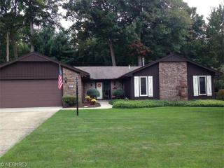 3820 Surfside Cir, Aurora OH  44202-9000 exterior