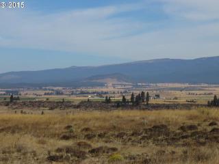 475 Horseshoe Bend Rd, Centerville, WA 98613-2302