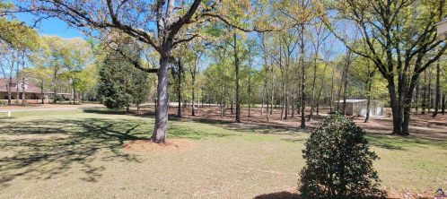 48 Slosheye Trail Estates Rd, Vienna, GA 31092-4471