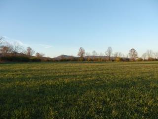 8202 Apples Church Rd, Graceham, MD 21788-1319