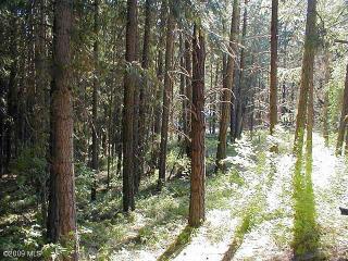 21512 Camp 12 Rd, Plain, WA