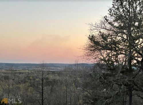7092 Scenic Hts, Manchester, GA 31816-6920