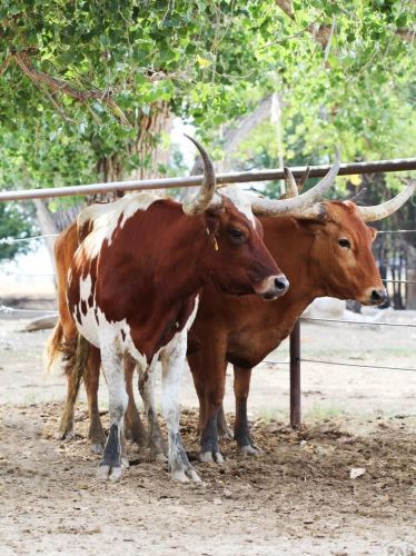 706 Avondale Blvd, Avondale CO 81022-8702 exterior