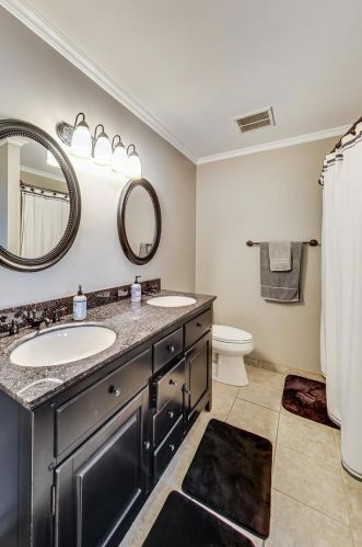 1045 Big Eagle Trl, Carol Stream IL  60188-9153 exterior