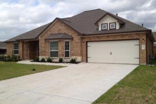 3303 Rosemary Trace Dr, Spring TX  77386-4009 exterior