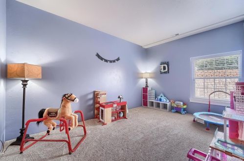 6494 Eagle Shadow Ave, Denver CO  80602-6015 exterior