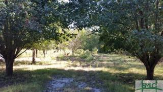 475 Live Oak Ln, Mcgregor, GA 30415