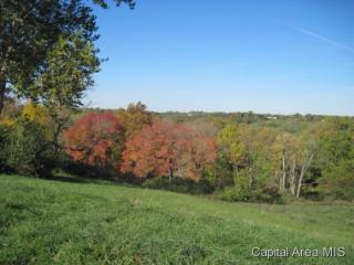42 Vista Rdg, Petersburg, IL 62675-9426