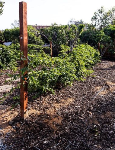 2166 Warmlands Ave, Vista CA  92084-3338 exterior