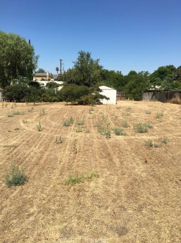 5653 Lewis Ave, Riverside CA  92503-8626 exterior