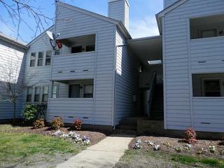 900 Colley Ave, Norfolk, VA 23507-1638