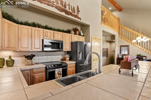 133 Elk Grove Ln, Woodland Park CO 80863-9171 exterior