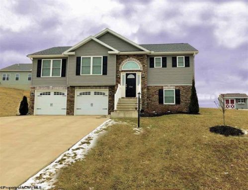 310 Double Eagle Ln, Core, WV 26541-8210