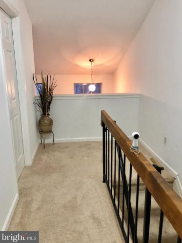 10306 Annaberg Ct, Springfield VA  22015-2833 exterior