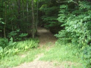 2108 Route 121, Grafton, VT 05146-4417