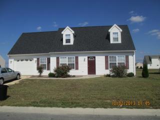 509 Leesburg Dr, Fruitland MD  21826-2036 exterior