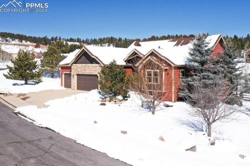 450 Black Bear Trl, Woodland Park CO 80863-8941 exterior