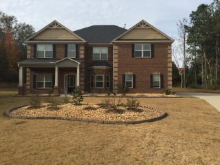 333 Snow Bird Dr, Hampton, GA 30228-3531