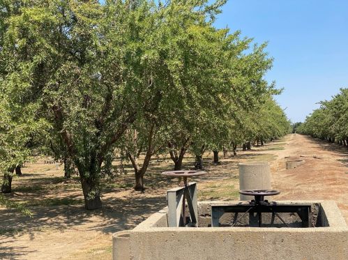 9312 Yosemite Blvd, Modesto, CA 95357-1869