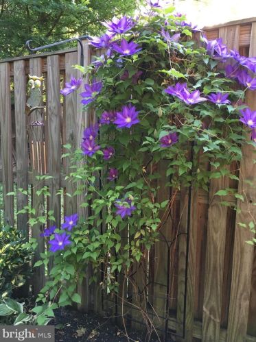 12943 Tourmaline Ter, Silver Spring MD 20904-5351 exterior