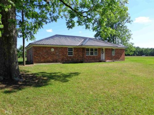 509 Robbins Branch Rd, Hiltonia, GA 30467