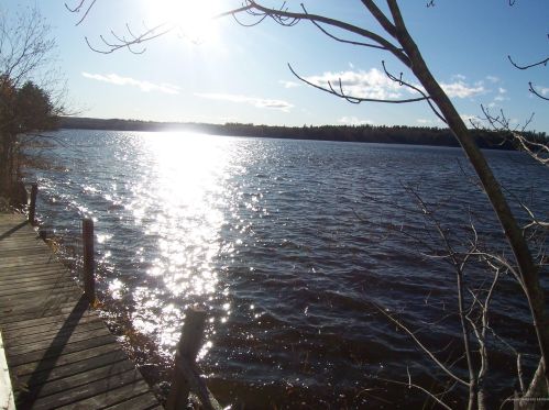 3 Garland Swamp Rd, Poland, ME 04274-7113
