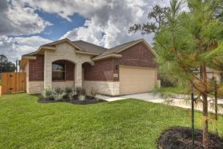 2202 Shady Tree Ln, Conroe TX  77301-3342 exterior