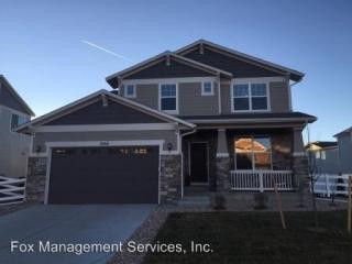 1668 Dorothy Cir, Longmont CO  80503 exterior