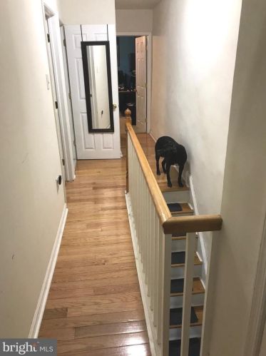 3292 Gaul St, Philadelphia, PA 19134-4520