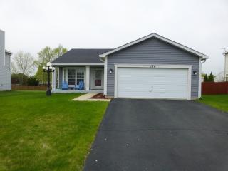 176 Cider St, Lemont IL  60490-6557 exterior
