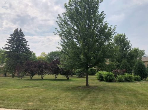 551 Carlysle Dr, Willowbrook IL  60514-1664 exterior