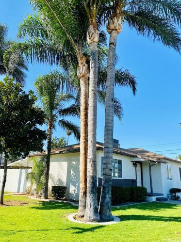 10705 Bingham Ave, Riverside, CA 92505-1511