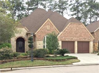 8845 Van Allen Dr, Spring TX  77381-3335 exterior