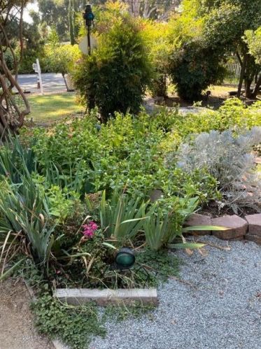 748 Kendall Ave, Palo Alto, CA 94306-2725