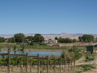 3770 Blair Rd, Whitewater CO  81527-9518 exterior