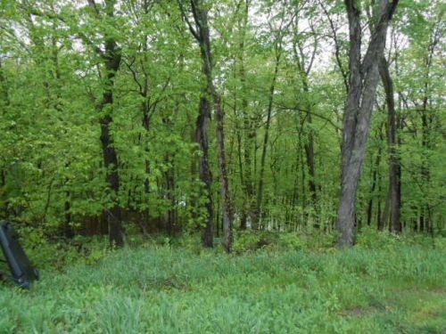 505 Running Bear Ct, Sparland, IL 61565