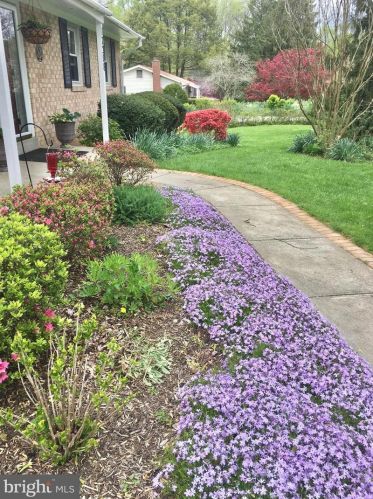 17208 Emerson Dr, Silver Spring MD  20905-3751 exterior